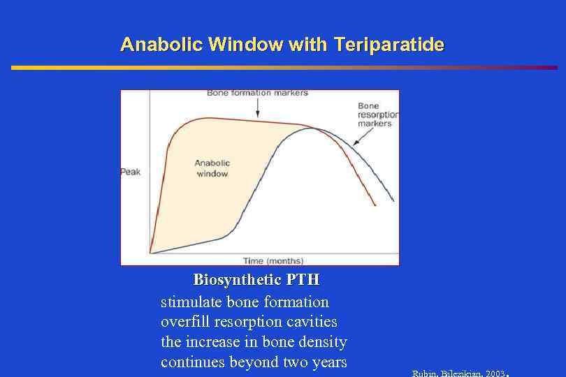 Anabolic Window with Teriparatide Biosynthetic PTH stimulate bone formation overfill resorption cavities the increase