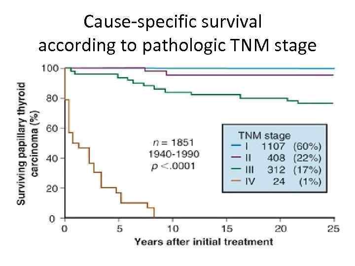Cause-specific survival according to pathologic TNM stage 