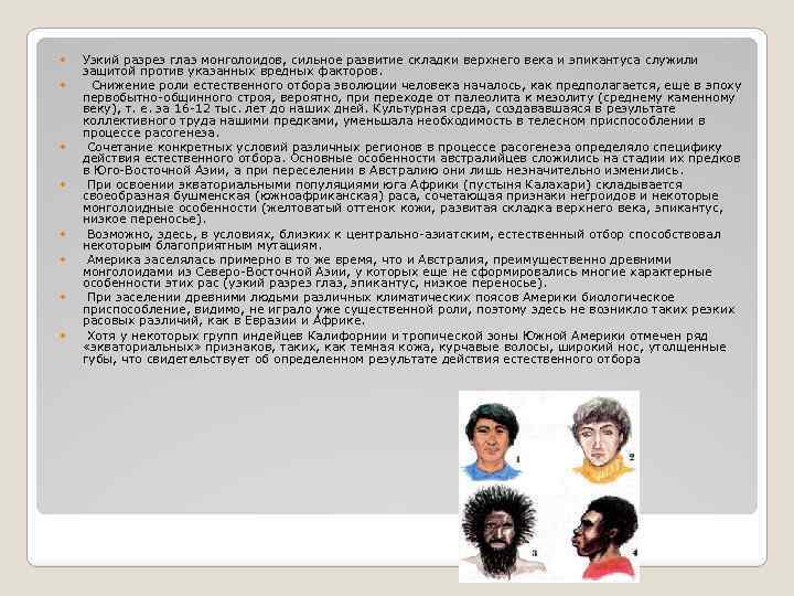  Узкий разрез глаз монголоидов, сильное развитие складки верхнего века и эпикантуса служили защитой