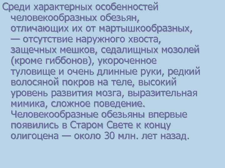 Среди характерных особенностей человекообразных обезьян, отличающих их от мартышкообразных, — отсутствие наружного хвоста, защечных