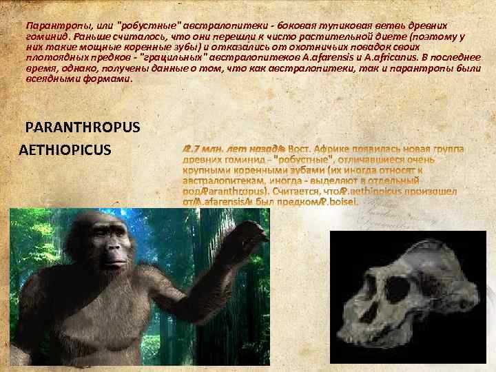 Парантропы, или 