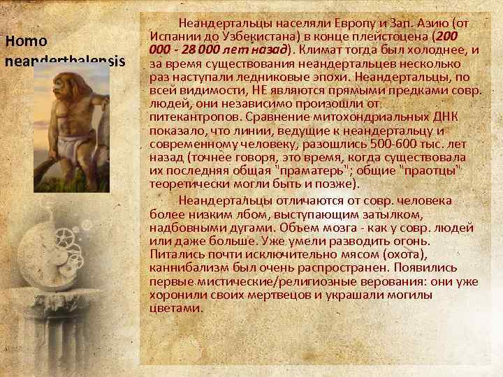 Homo neanderthalensis Неандертальцы населяли Европу и Зап. Азию (от Испании до Узбекистана) в конце