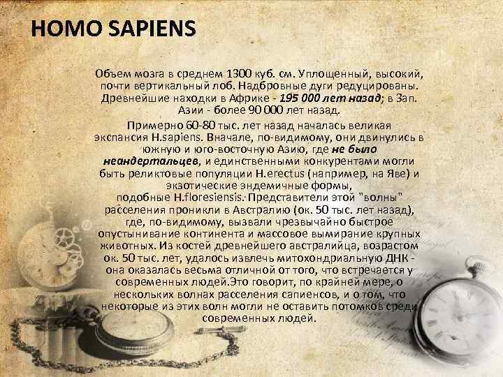 HOMO SAPIENS Объем мозга в среднем 1300 куб. см. Уплощенный, высокий, почти вертикальный лоб.