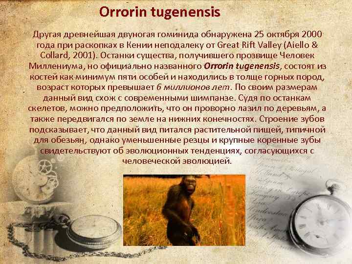 Orrorin tugenensis Другая древнейшая двуногая гоминида обнаружена 25 октября 2000 года при раскопках в