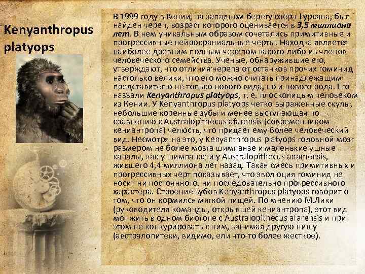 Kenyanthropus platyops В 1999 году в Кении, на западном берегу озера Туркана, был найден
