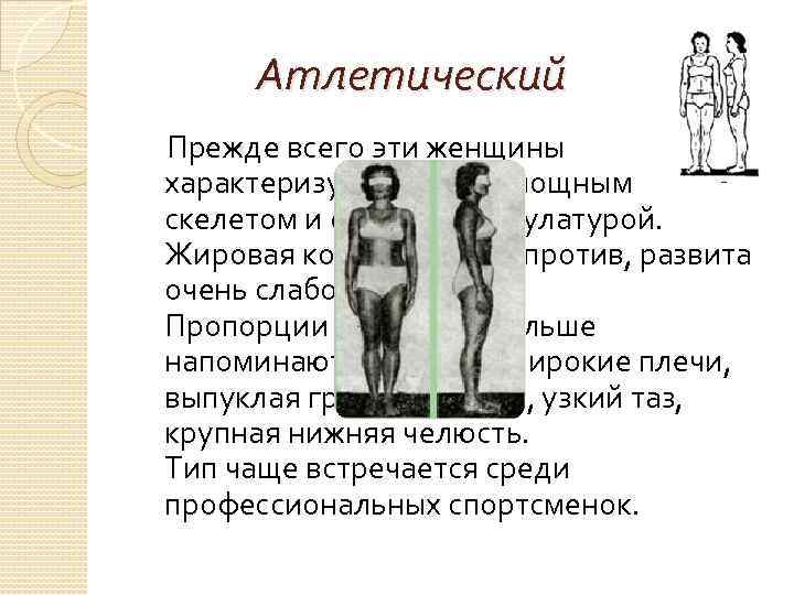 Атлетический Тип телосложения