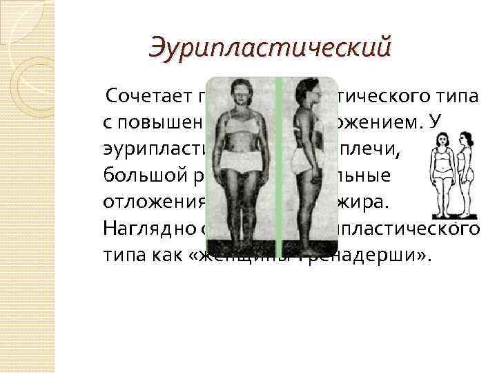  Эурипластический Сочетает признаки атлетического типа с повышенным жироотложением. У эурипластичек широкие плечи, большой