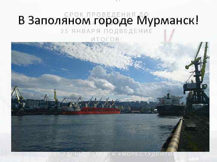 В Заполяном городе Мурманск! 
