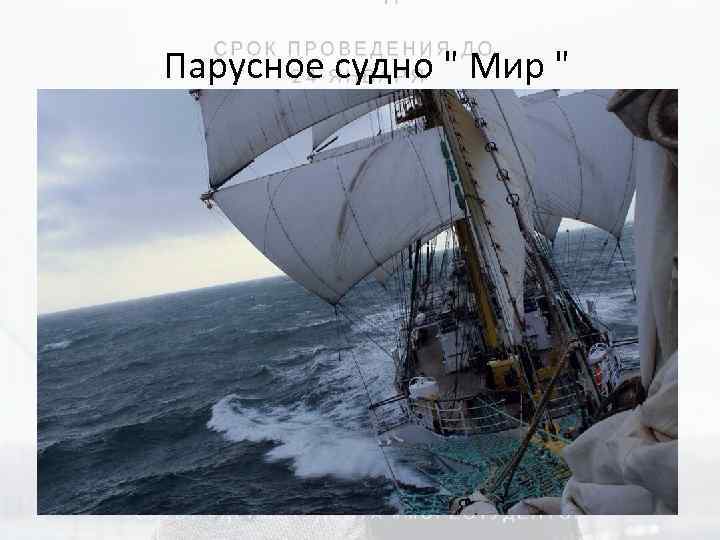 Парусное судно " Мир " 