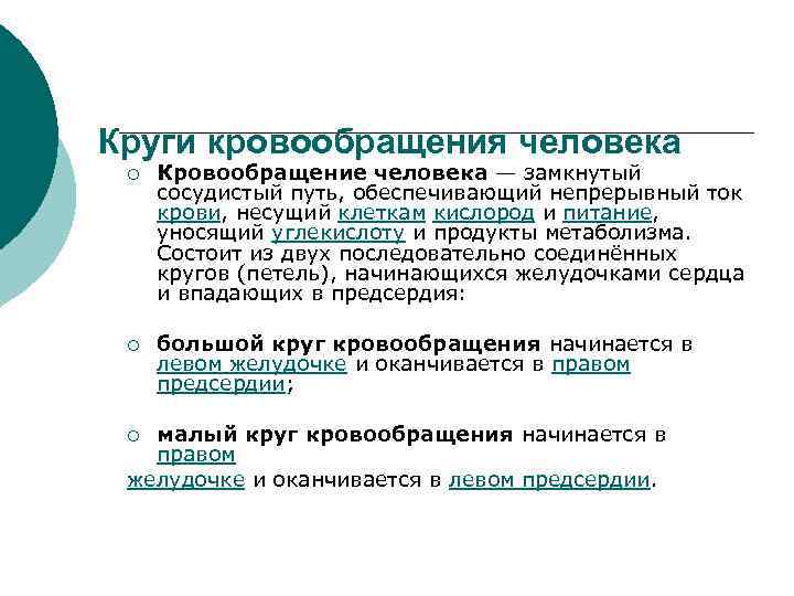 Круги кровообращения человека ¡ Кровообращение человека — замкнутый сосудистый путь, обеспечивающий непрерывный ток крови,