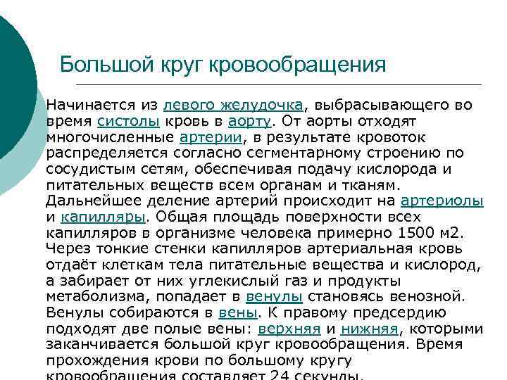 Большой круг кровообращения ¡ Начинается из левого желудочка, выбрасывающего во время систолы кровь в