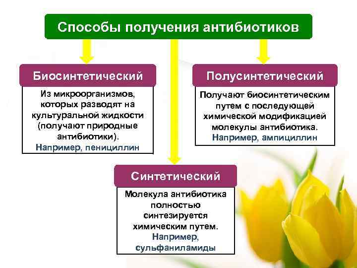 Способы получения антибиотиков Биосинтетический Полусинтетический Из микроорганизмов, которых разводят на культуральной жидкости (получают природные