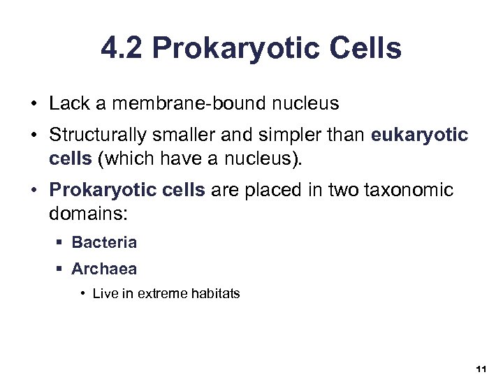 4. 2 Prokaryotic Cells • Lack a membrane-bound nucleus • Structurally smaller and simpler