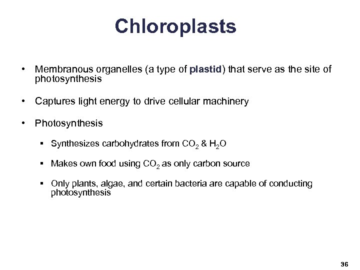 Chloroplasts • Membranous organelles (a type of plastid) that serve as the site of