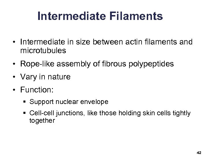 Intermediate Filaments • Intermediate in size between actin filaments and microtubules • Rope-like assembly