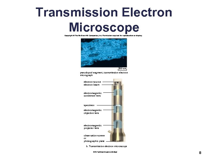 Transmission Electron Microscope Copyright © The Mc. Graw-Hill Companies, Inc. Permission required for reproduction