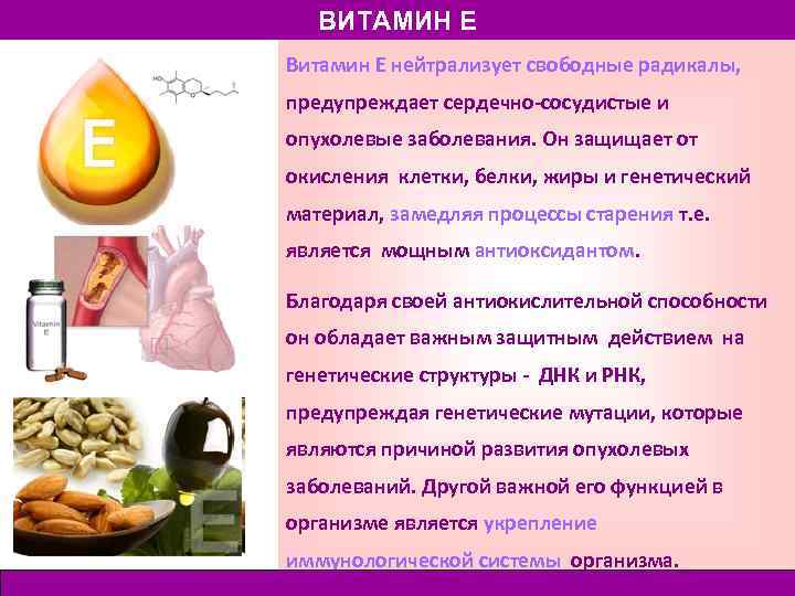 ВИТАМИН Е Витамин Е нейтрализует свободные радикалы, предупреждает сердечно-сосудистые и опухолевые заболевания. Он защищает