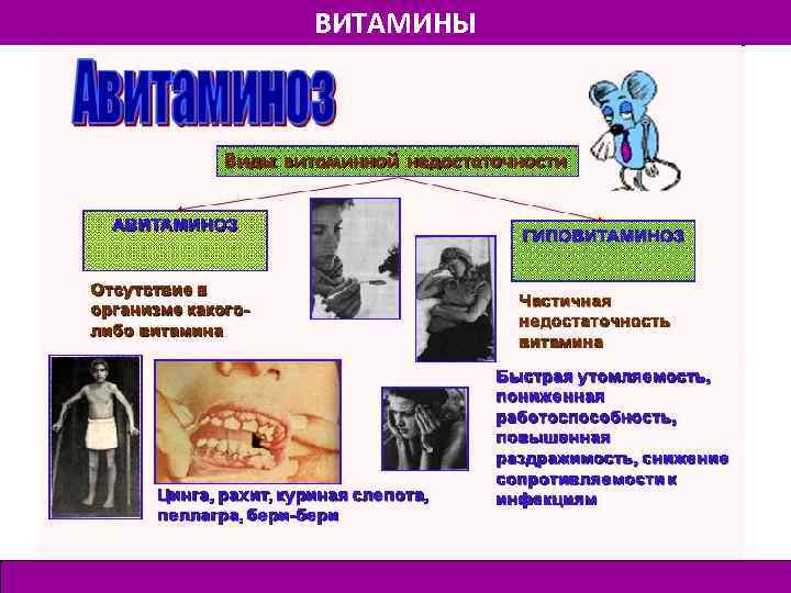 ВИТАМИНЫ 