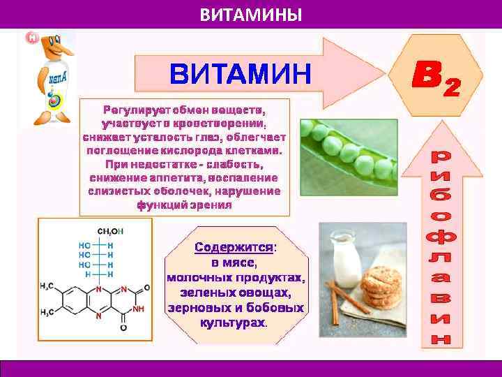 ВИТАМИНЫ 