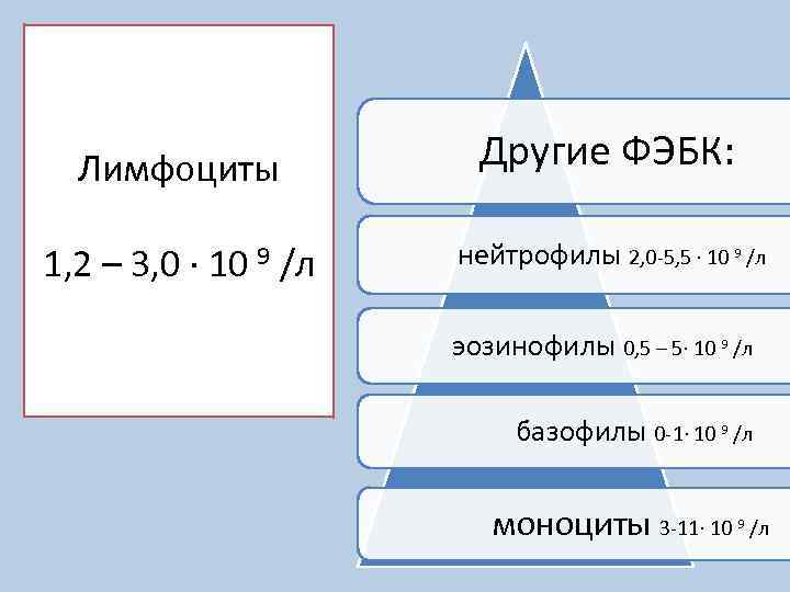 Лимфоциты 1, 2 – 3, 0 ∙ 10 /л 9 Другие ФЭБК: нейтрофилы 2,