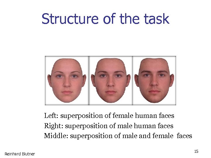 Structure of the task Left: superposition of female human faces Right: superposition of male