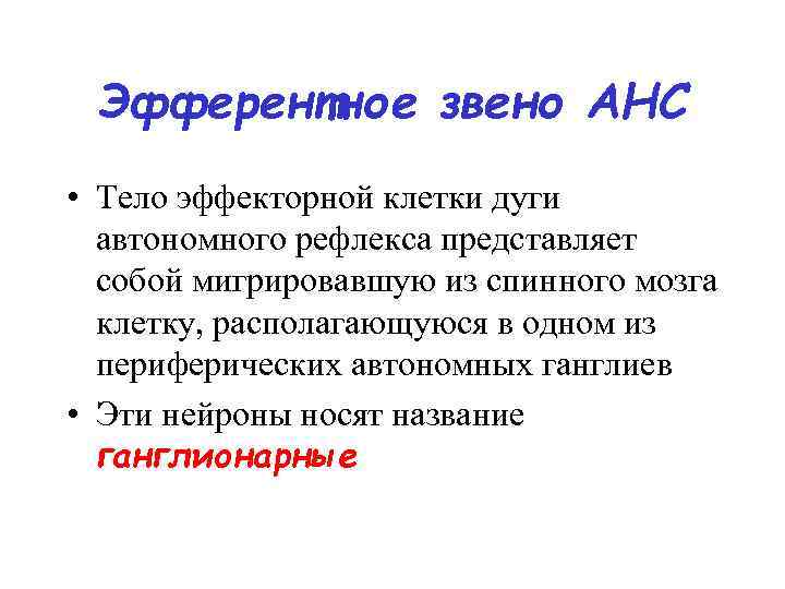 Эфферентное звено АНС • Тело эффекторной клетки дуги автономного рефлекса представляет собой мигрировавшую из