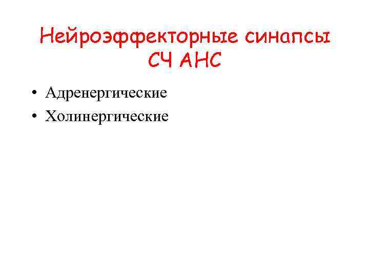 Нейроэффекторные синапсы СЧ АНС • Адренергические • Холинергические 