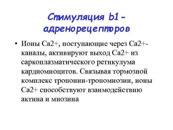 Стимуляция b 1 адренорецепторов • Ионы Ca 2+, поступающие через Ca 2+каналы, активируют выход