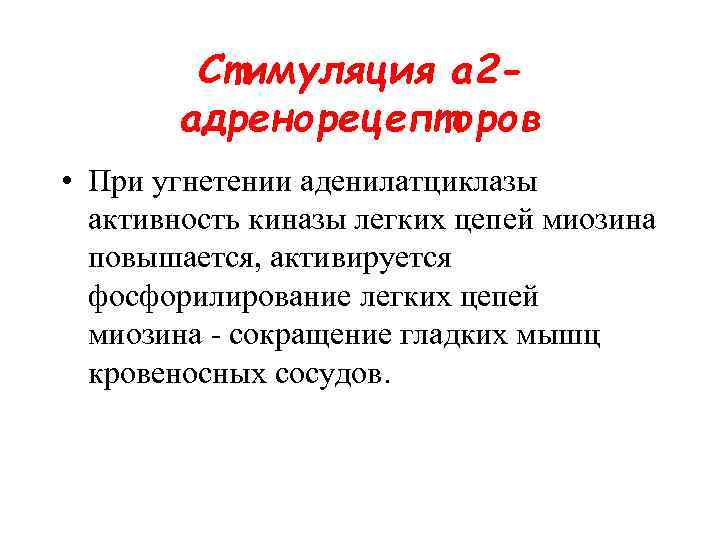 Стимуляция a 2 адренорецепторов • При угнетении аденилатциклазы активность киназы легких цепей миозина повышается,