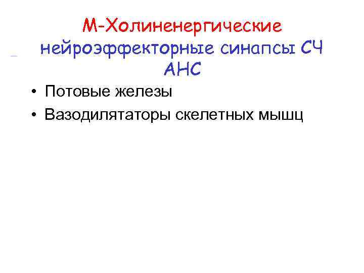  М-Холиненергические нейроэффекторные синапсы СЧ АНС • Потовые железы • Вазодилятаторы скелетных мышц 