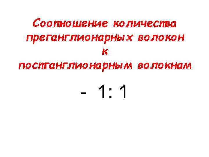 Соотношение количества преганглионарных волокон к постганглионарным волокнам - 1: 1 