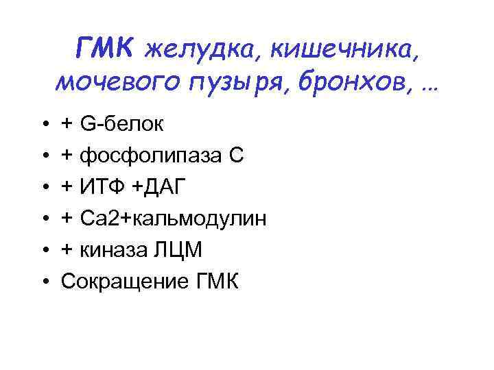 ГМК желудка, кишечника, мочевого пузыря, бронхов, … • • • + G-белок + фосфолипаза