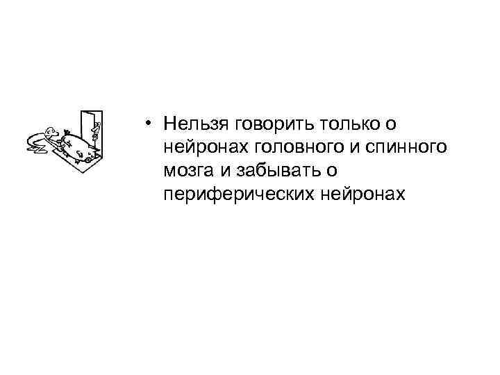  • Нельзя говорить только о нейронах головного и спинного мозга и забывать о