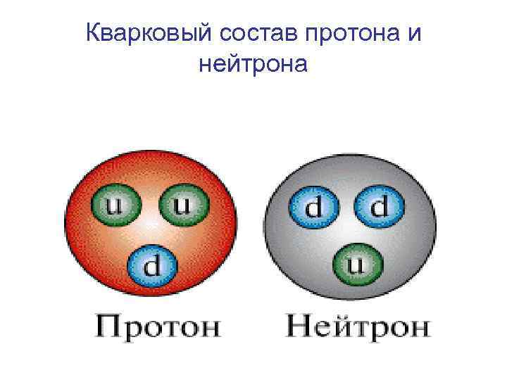 Кварковый состав протона и нейтрона 
