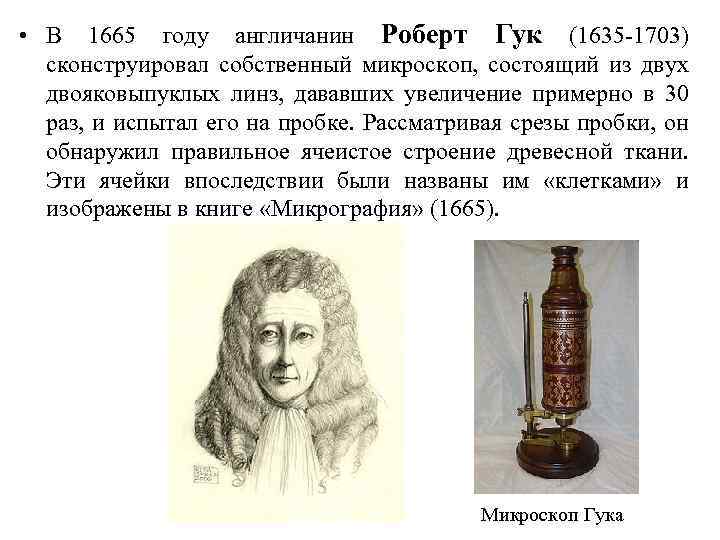  • В 1665 году англичанин Роберт Гук (1635 -1703) сконструировал собственный микроскоп, состоящий