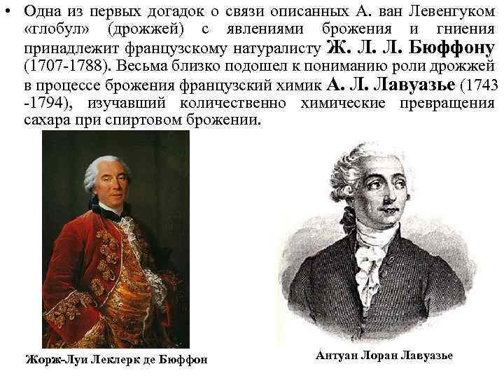  • Одна из первых догадок о связи описанных А. ван Левенгуком «глобул» (дрожжей)