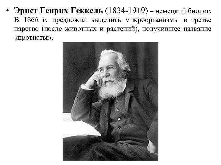  • Эрнст Генрих Геккель (1834 -1919) – немецкий биолог. В 1866 г. предложил