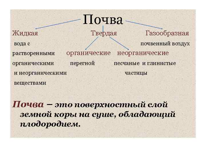 Почва Жидкая Твердая вода с растворенными Газообразная почвенный воздух органические неорганические органическими и неорганическими