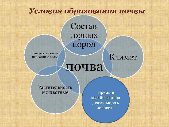 Условия образования почвы Состав горных пород Поверхностные и подземные воды почва Растительность и животные