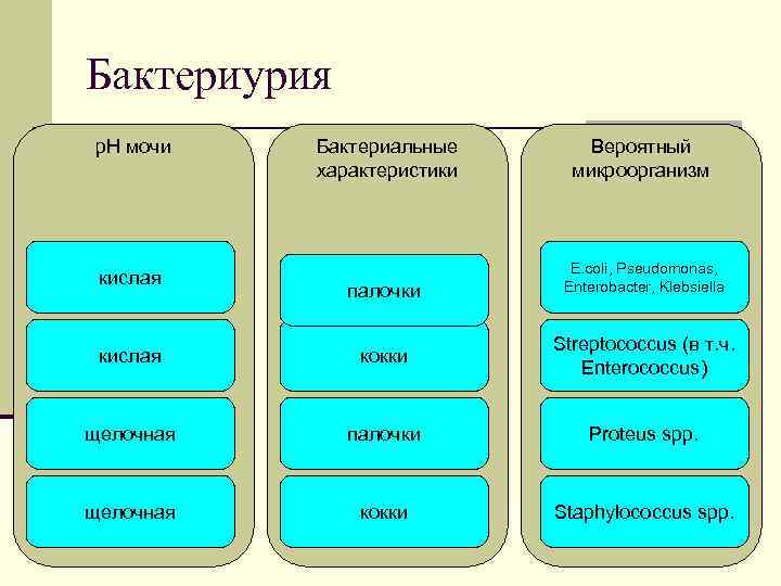 Бактериурия p. H мочи кислая Бактериальные характеристики Вероятный микроорганизм палочки E. coli, Pseudomonas, Enterobacter,