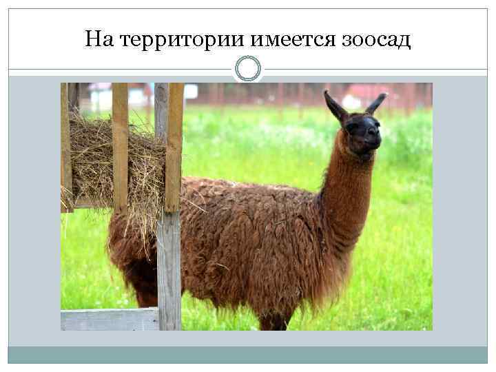 На территории имеется зоосад 