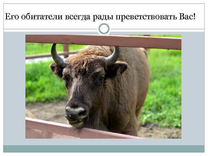 Его обитатели всегда рады преветствовать Вас! 