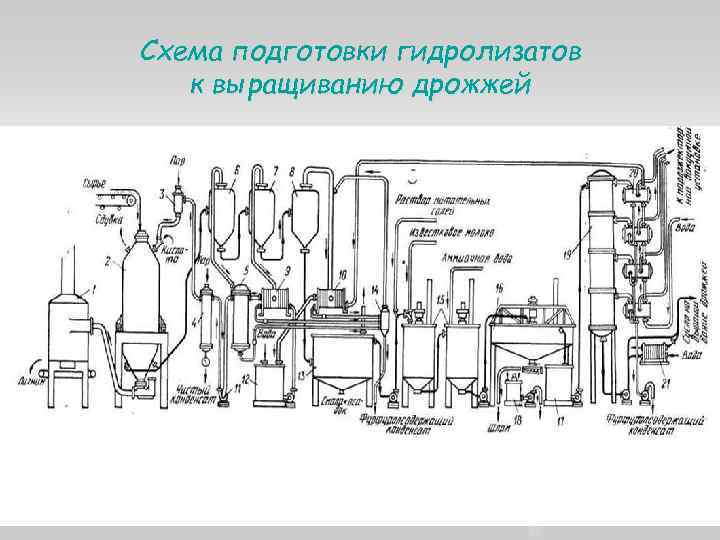 Схема подготовки гидролизатов к выращиванию дрожжей 9 