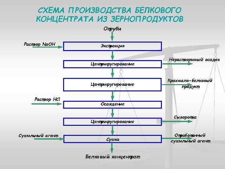 СХЕМА ПРОИЗВОДСТВА БЕЛКОВОГО КОНЦЕНТРАТА ИЗ ЗЕРНОПРОДУКТОВ Отруби Раствор Na. OH Экстракция Центрифугирование Раствор HCl