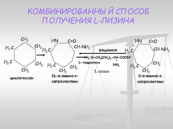 Биотехнология аминокислот презентация