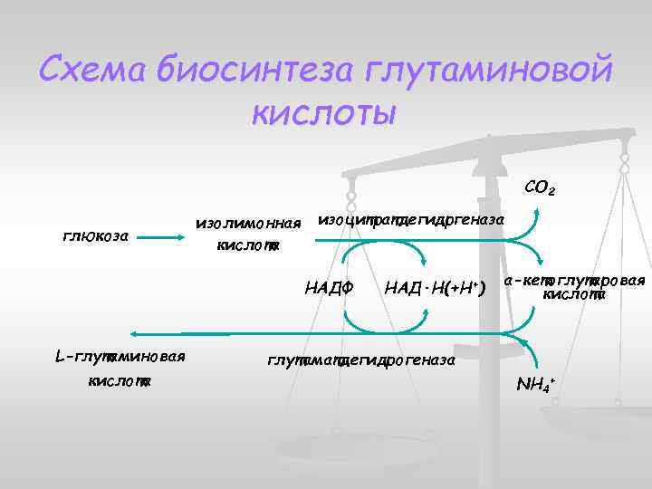 Биотехнология аминокислот презентация