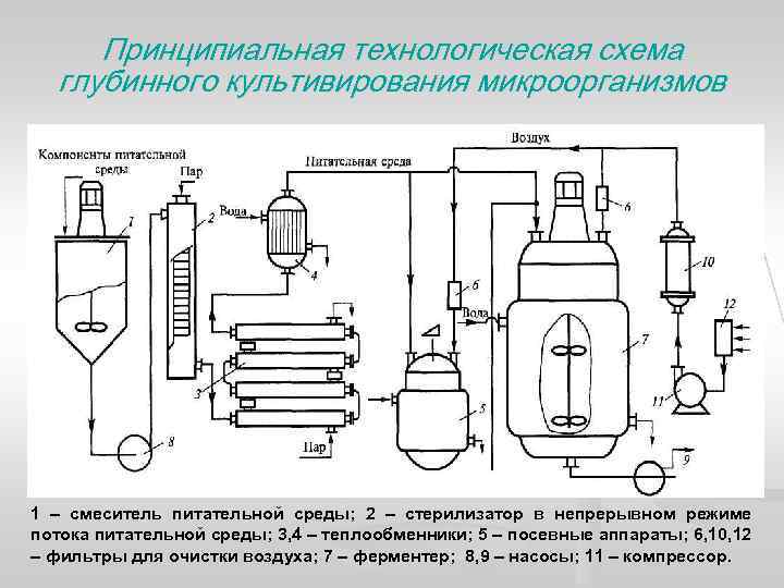 Производственные питательные среды в биотехнологической схеме получения лекарственных препаратов