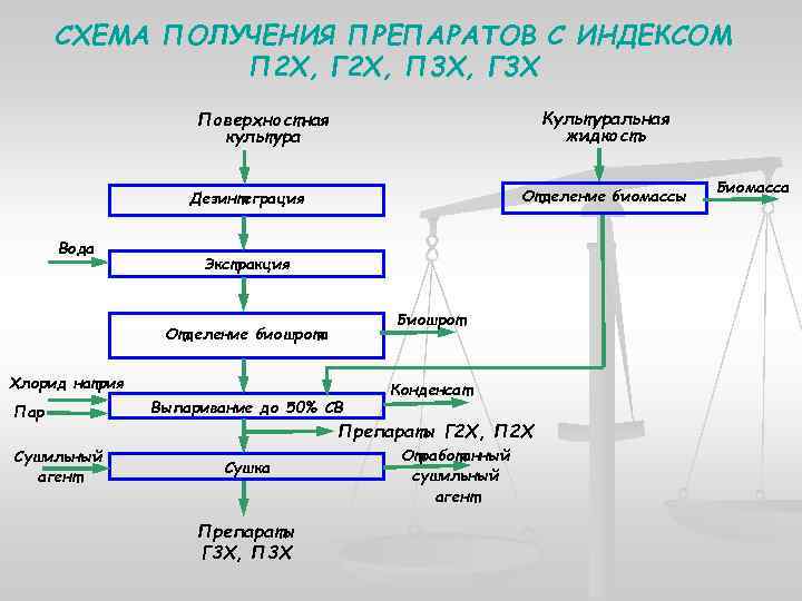 Биотехнологическая схема получения ферментов