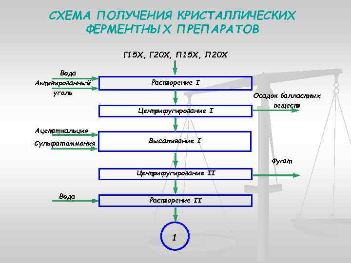 Биотехнологическая схема получения ферментов