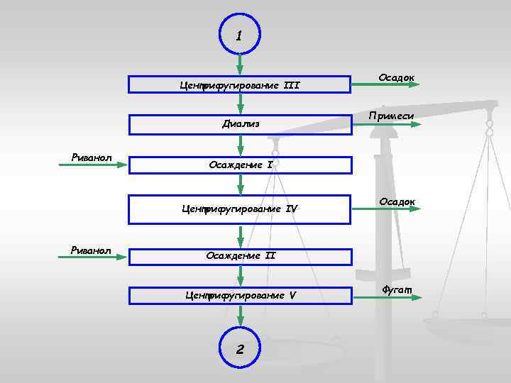 1 Центрифугирование III Диализ Риванол Примеси Осаждение I Центрифугирование IV Риванол Осадок Осаждение II